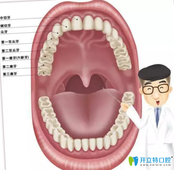 菏澤美爾口腔告訴你30歲還能矯正牙齒嗎？需要注意些什么？