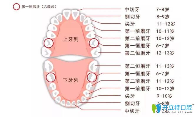 六齡齒會換嗎？小孩子六齡齒壞了怎么辦？爸媽一定要看哦