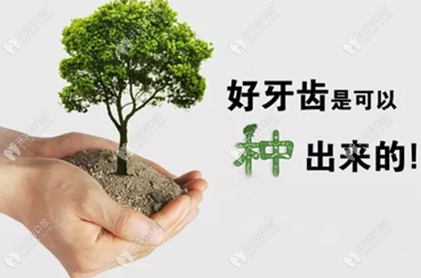 參加昆明柏德口腔種牙分享活動,直擊德國ICX種植牙全過程